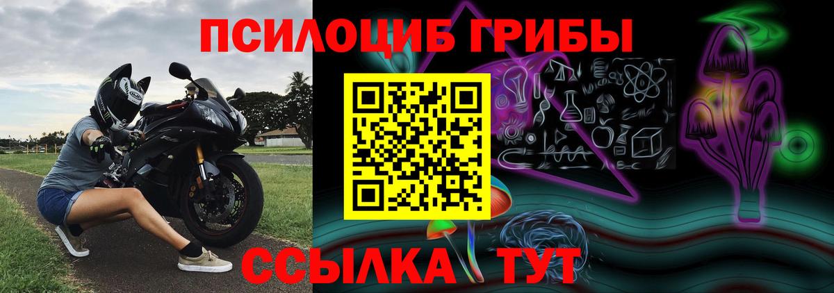 Краснодар  Галлюциногенные грибы Cubensis  Вход с VPN 